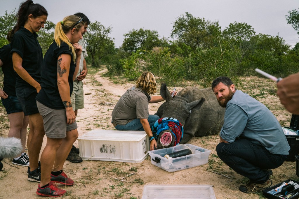 República: ¿Por qué la muerte del periodista David Beriain es tendencia en&nbsp;México?